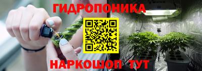 дмт Пушкино
