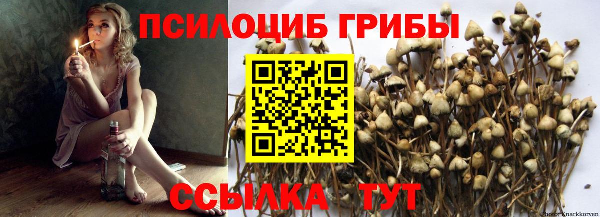 Псилоцибиновые грибы Psilocybine cubensis  Вход с VPN  Псилоцибиновые грибы MAGIC MUSHROOMS  Алушта 