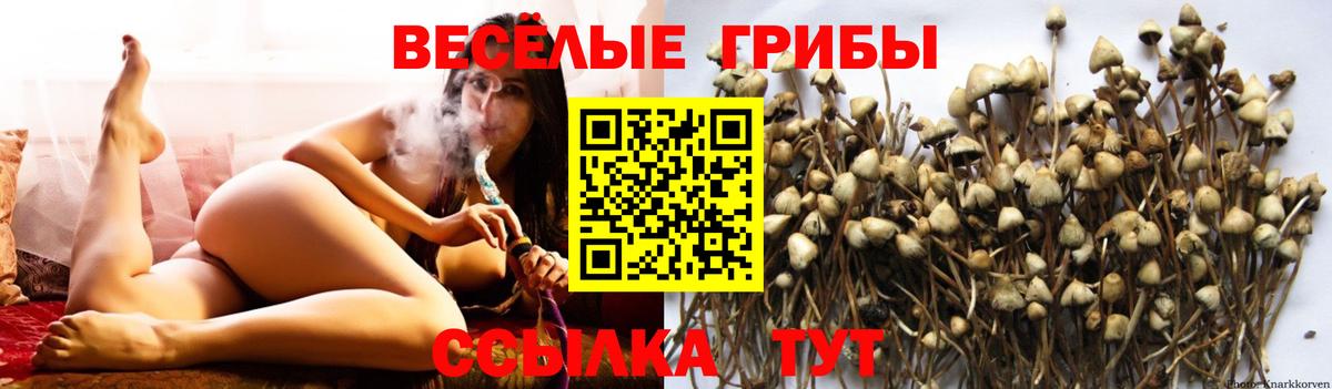 Галлюциногенные грибы прущие грибы Алушта